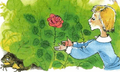 Картинка про сказку жаба и роза