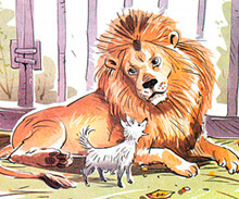 Картинка к синквейн лев и собачка 3 класс
